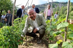 Bir milyon klk sebze fidesi datlacak